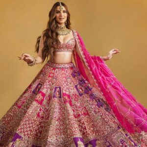 Home "tara" sitara lehenga set